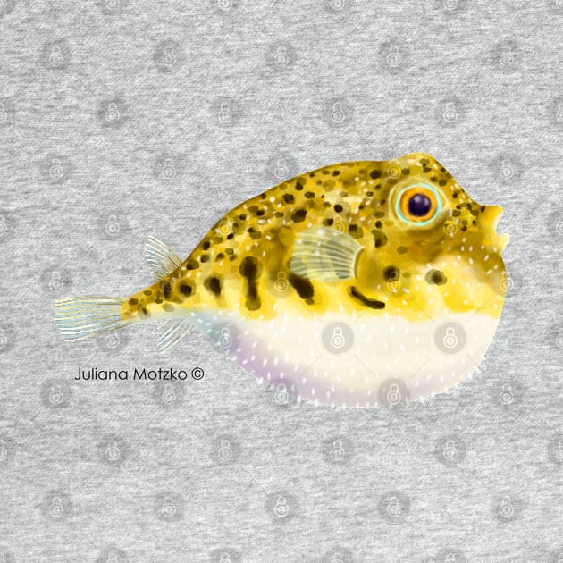 Pufferfish by julianamotzko